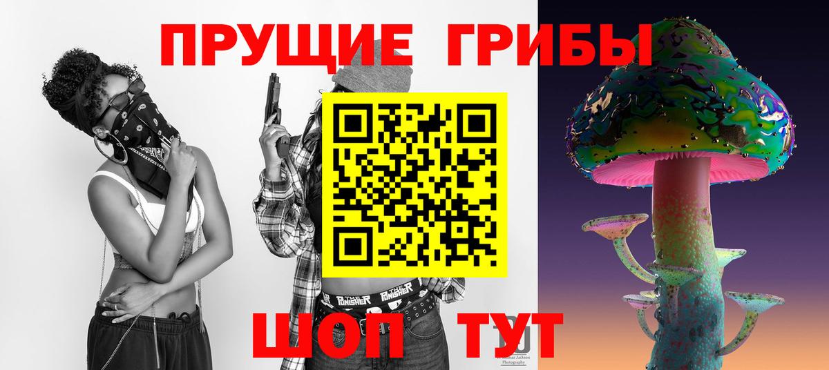 Сунжа  Галлюциногенные грибы GOLDEN TEACHER  закладки  Вход с VPN 