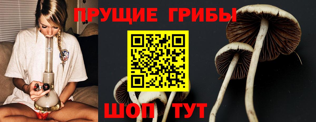Гашиш  Конопля  АМФ кристаллы  КОКАИН  Метамфетамин  Меф   Вход с VPN  Cocaine  Сунжа  Alpha PVP СК кристаллы 