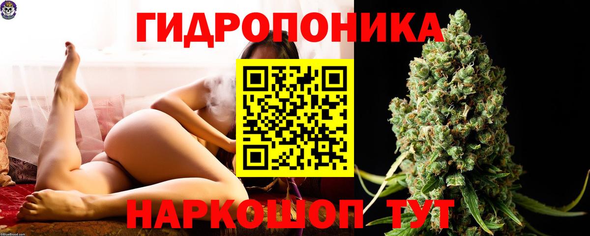 Сунжа  Бошки Шишки планчик  Вход с VPN  Каннабис AK-47  Канабис Amnesia 